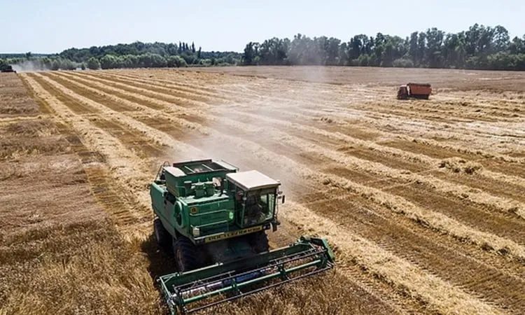 Russia's export duty on wheat to be $22.29 per metric ton from April 23