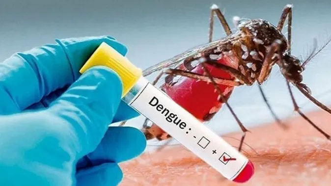 3 deaths, 437 fresh cases of dengue inflection overnight