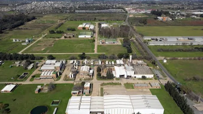 Argentine industry reels from Milei's free-market revolution