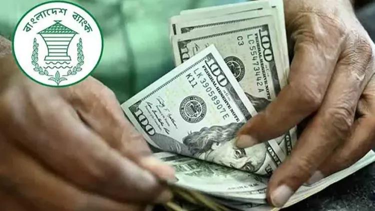 Remittance inflow rises 13.1pc in March-Aug