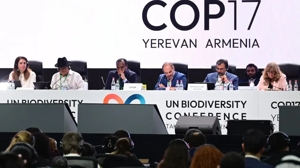 Nations commit to get nature goals back on track